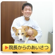 院長からのあいさつ