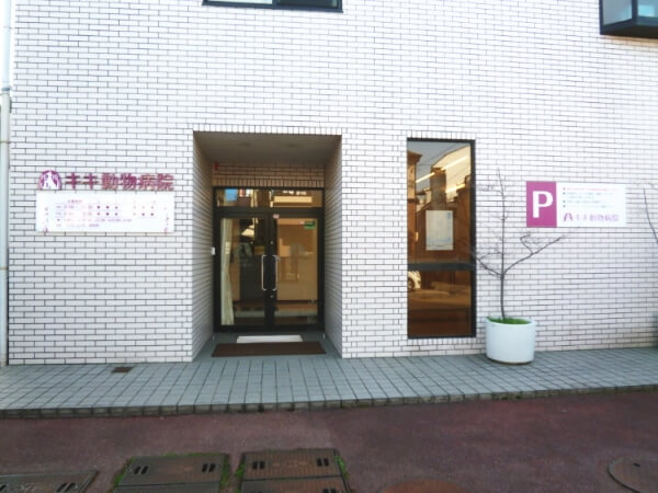 キキ動物病院入り口
